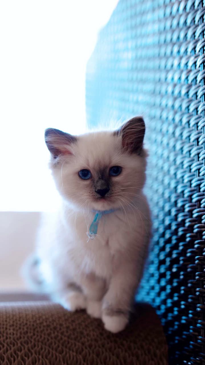 emxllouise snapchat image archive image