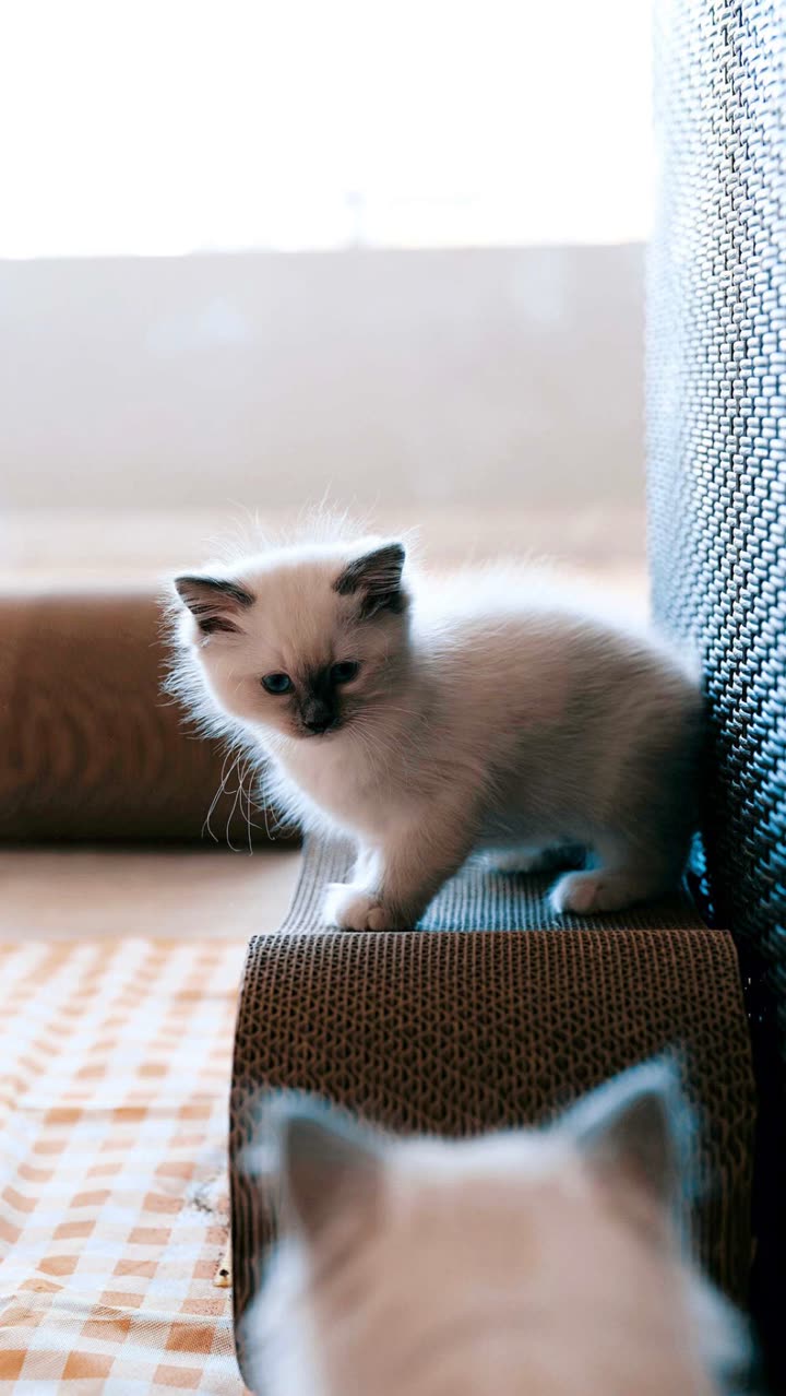 emxllouise snapchat image archive image