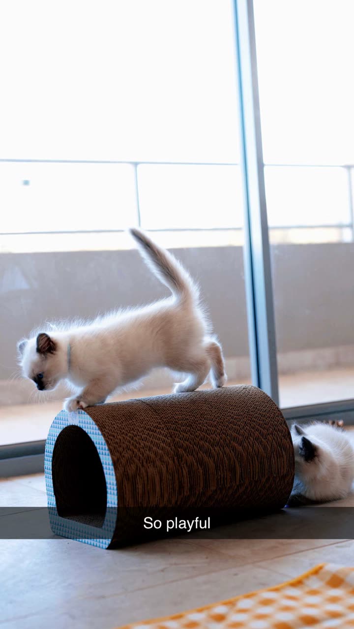 emxllouise snapchat image archive image