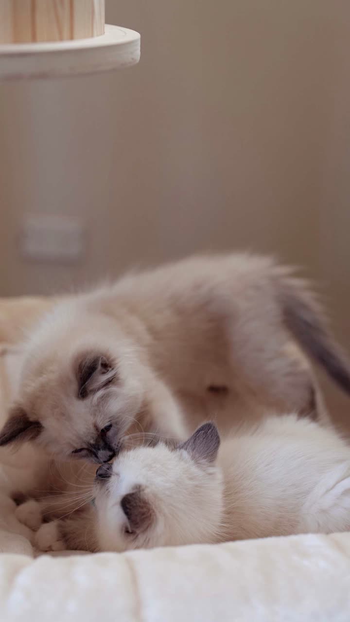 emxllouise snapchat image archive image