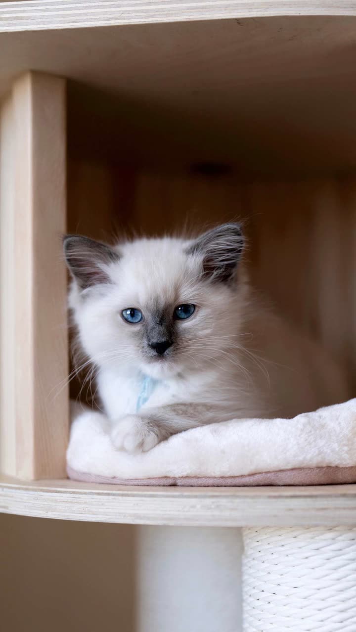 emxllouise snapchat image archive image