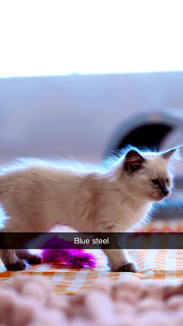 emxllouise image ~ Altpins