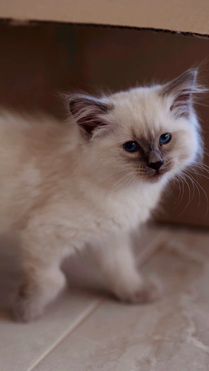 emxllouise snapchat image archive image