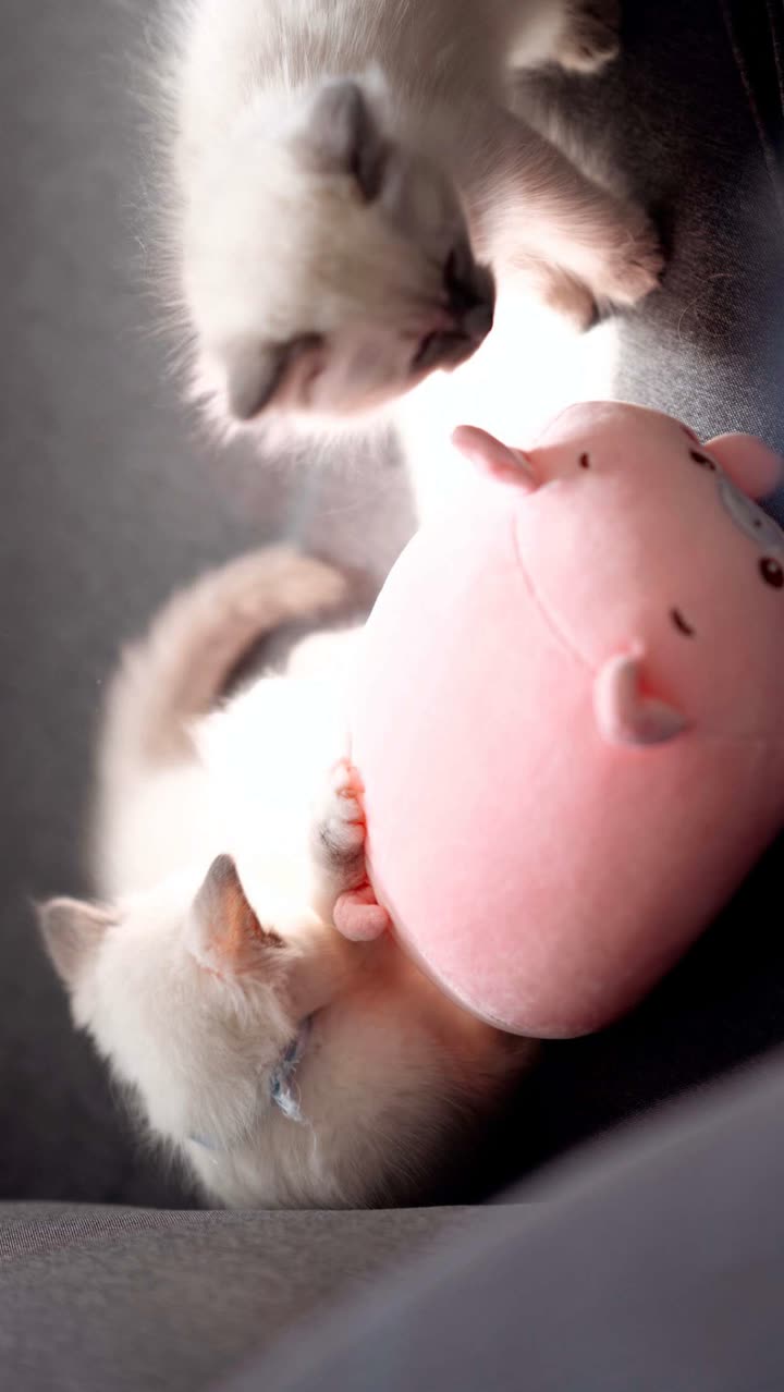 emxllouise snapchat image archive image