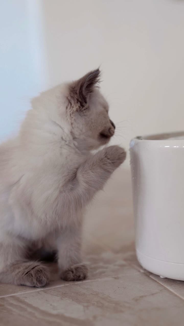 emxllouise snapchat image archive image