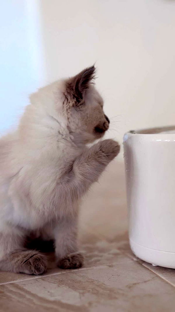 emxllouise image ~ Altpins