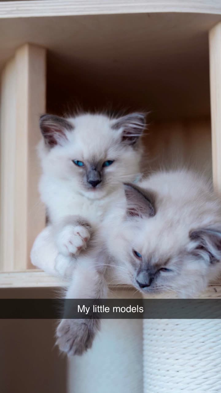 emxllouise snapchat image archive image