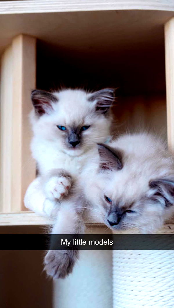 emxllouise image ~ Altpins