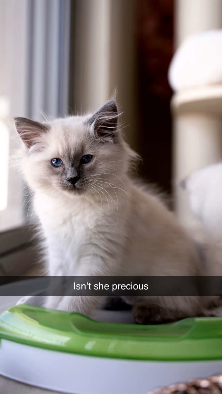 emxllouise snapchat image archive image