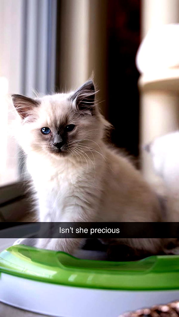 emxllouise image ~ Altpins