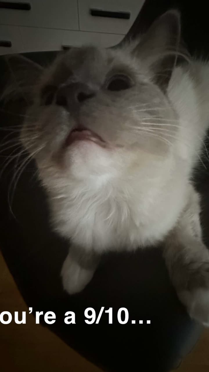 emxllouise snapchat image archive image