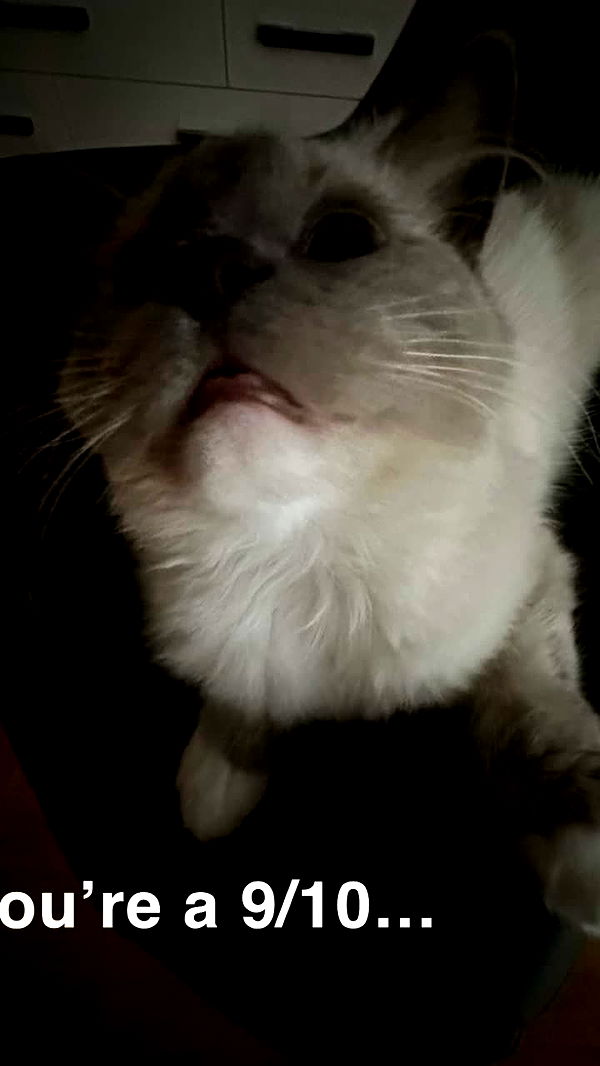 emxllouise image ~ Altpins