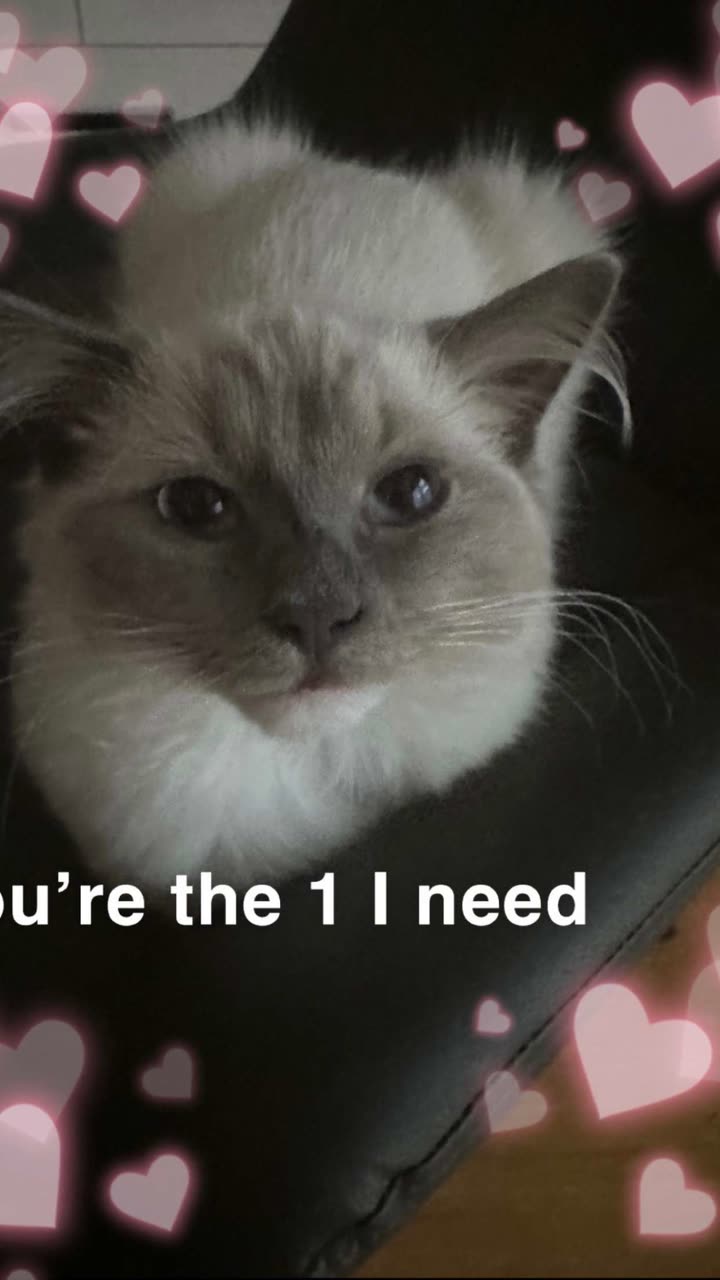 emxllouise snapchat image archive image