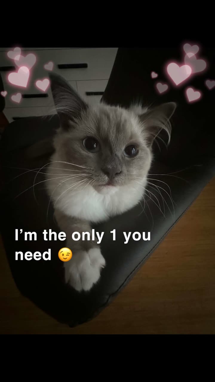 emxllouise snapchat image archive image