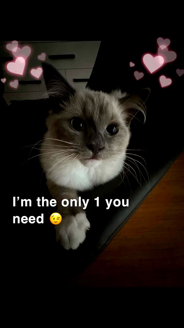 emxllouise image ~ Altpins