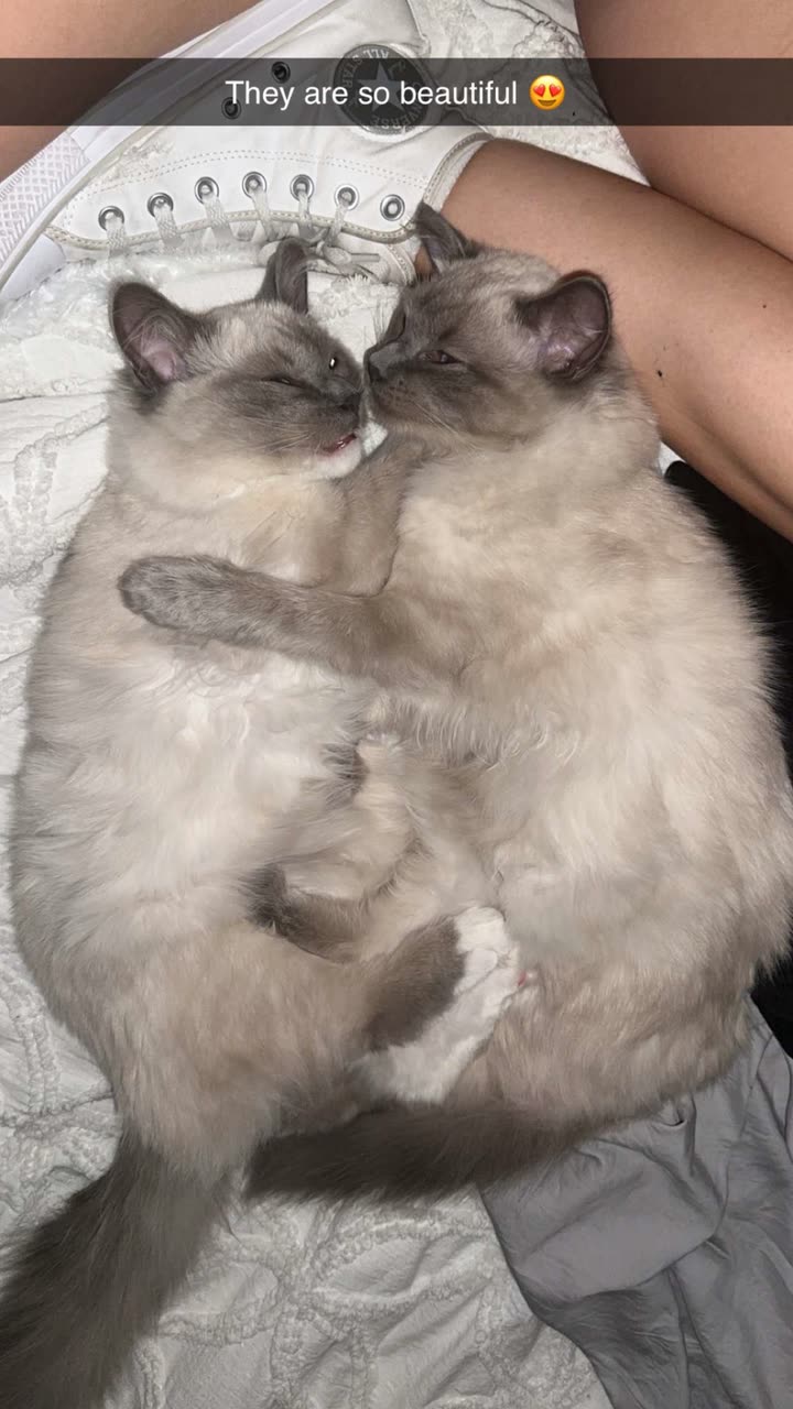 emxllouise snapchat image archive image