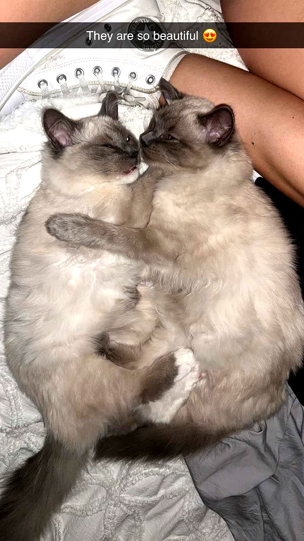 emxllouise image ~ Altpins