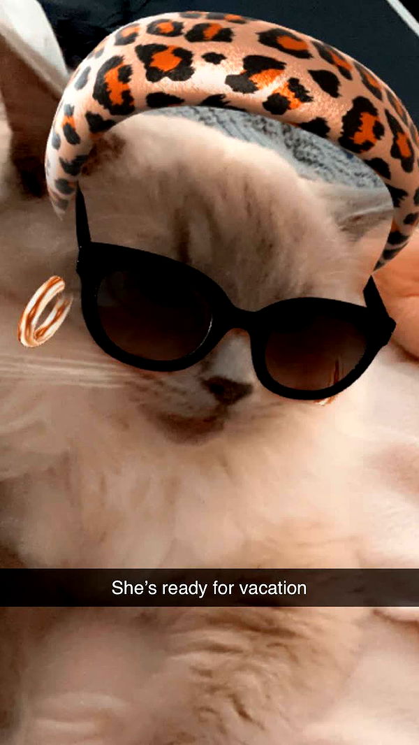 emxllouise image ~ Altpins