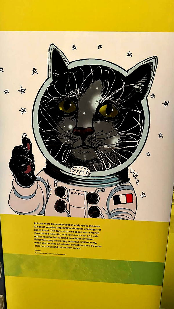 emxllouise image ~ Altpins