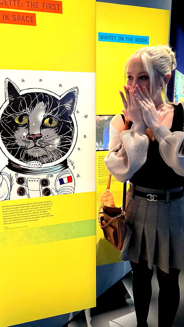 emxllouise image ~ Altpins