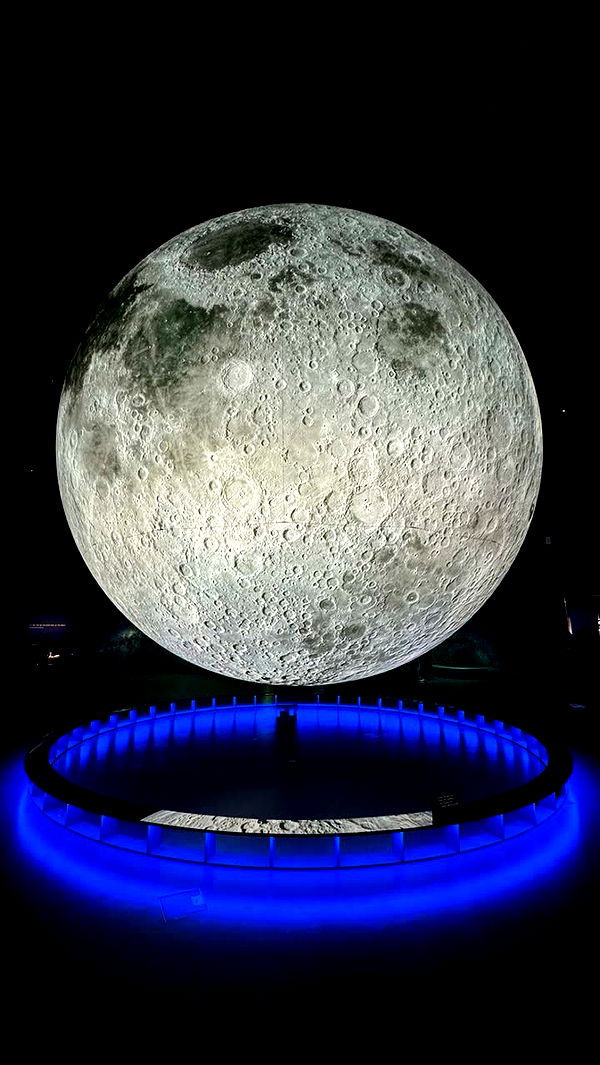 emxllouise image ~ Altpins