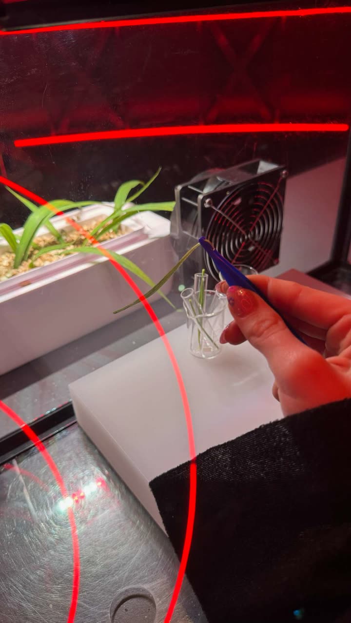 emxllouise snapchat image archive image