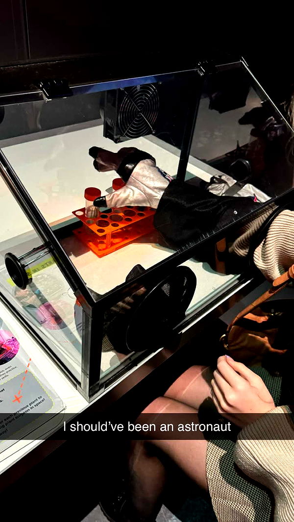 emxllouise image ~ Altpins