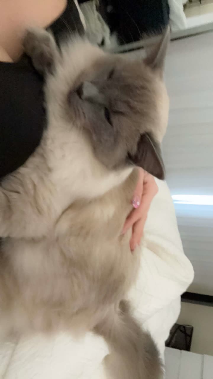 emxllouise snapchat image archive image