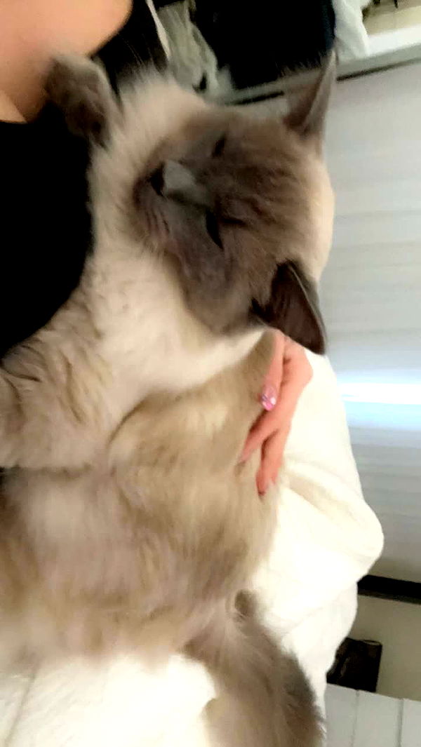 emxllouise image ~ Altpins