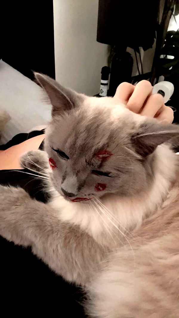 emxllouise image ~ Altpins