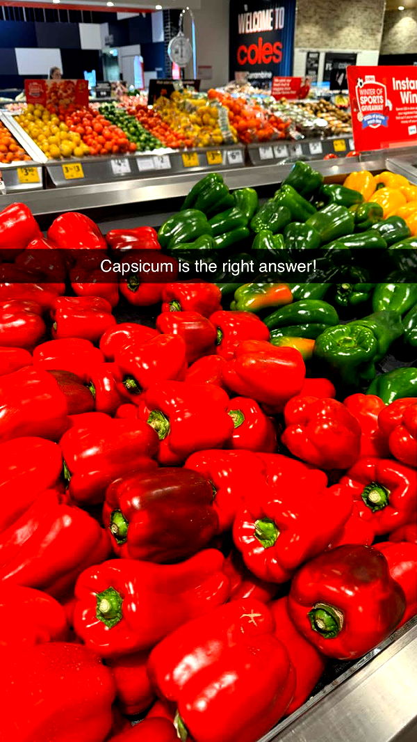 emxllouise image ~ Altpins