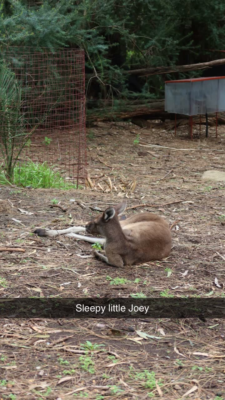 emxllouise snapchat image archive image