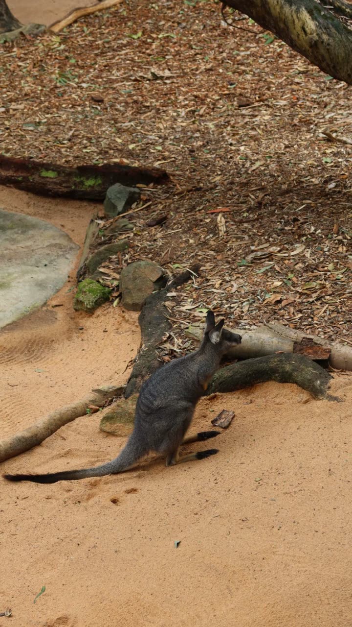 emxllouise snapchat image archive image