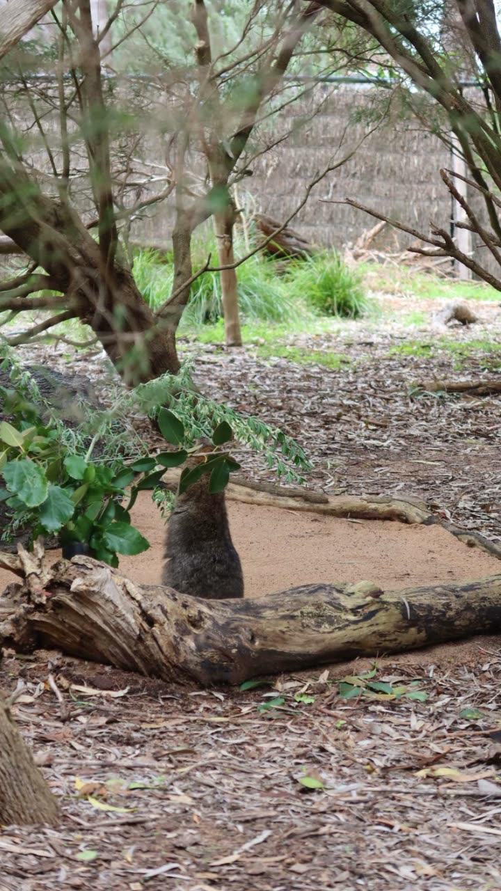 emxllouise snapchat image archive image