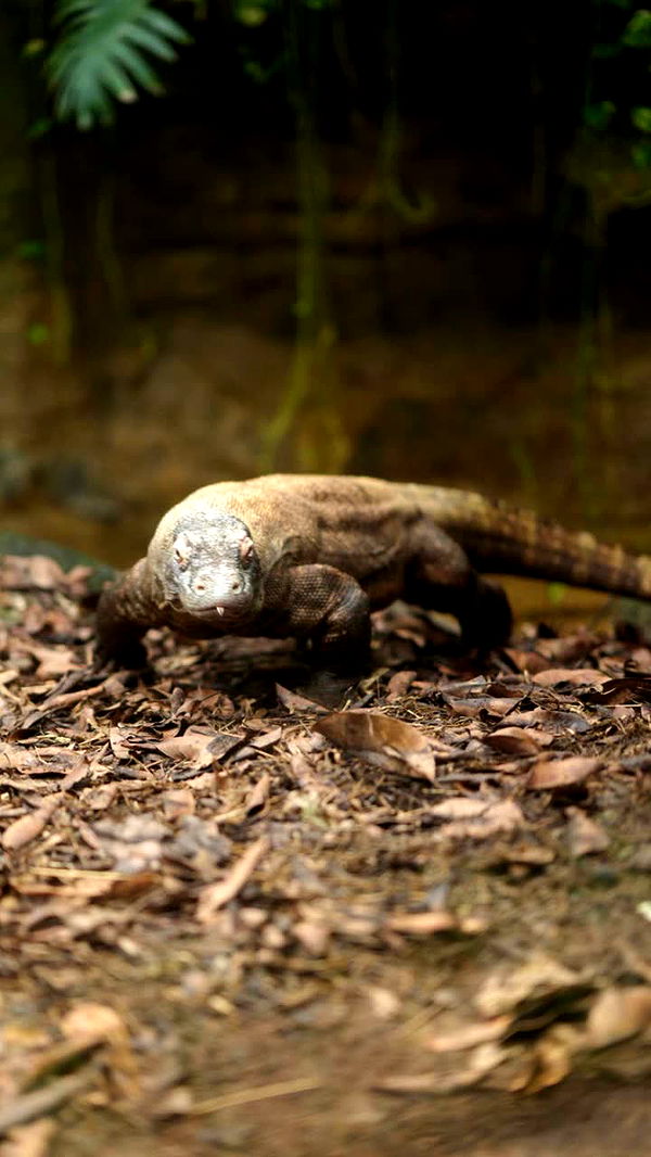 emxllouise image ~ Altpins