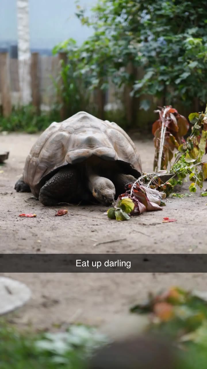 emxllouise snapchat image archive image