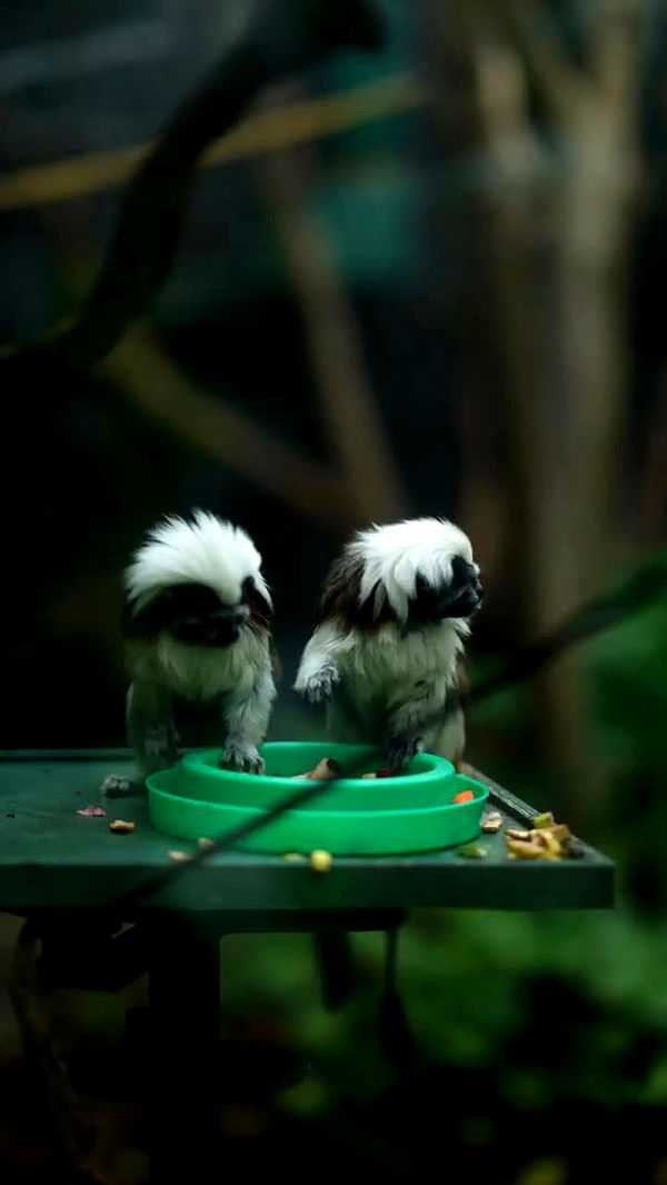 emxllouise image ~ Altpins