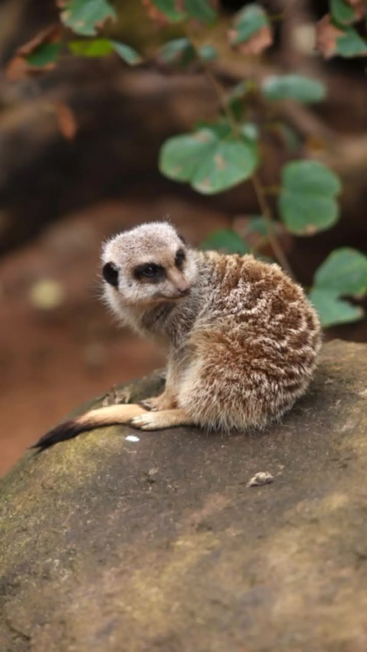 emxllouise snapchat image archive image