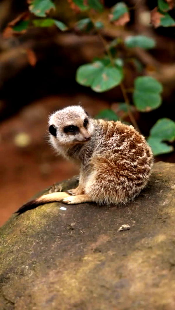 emxllouise image ~ Altpins