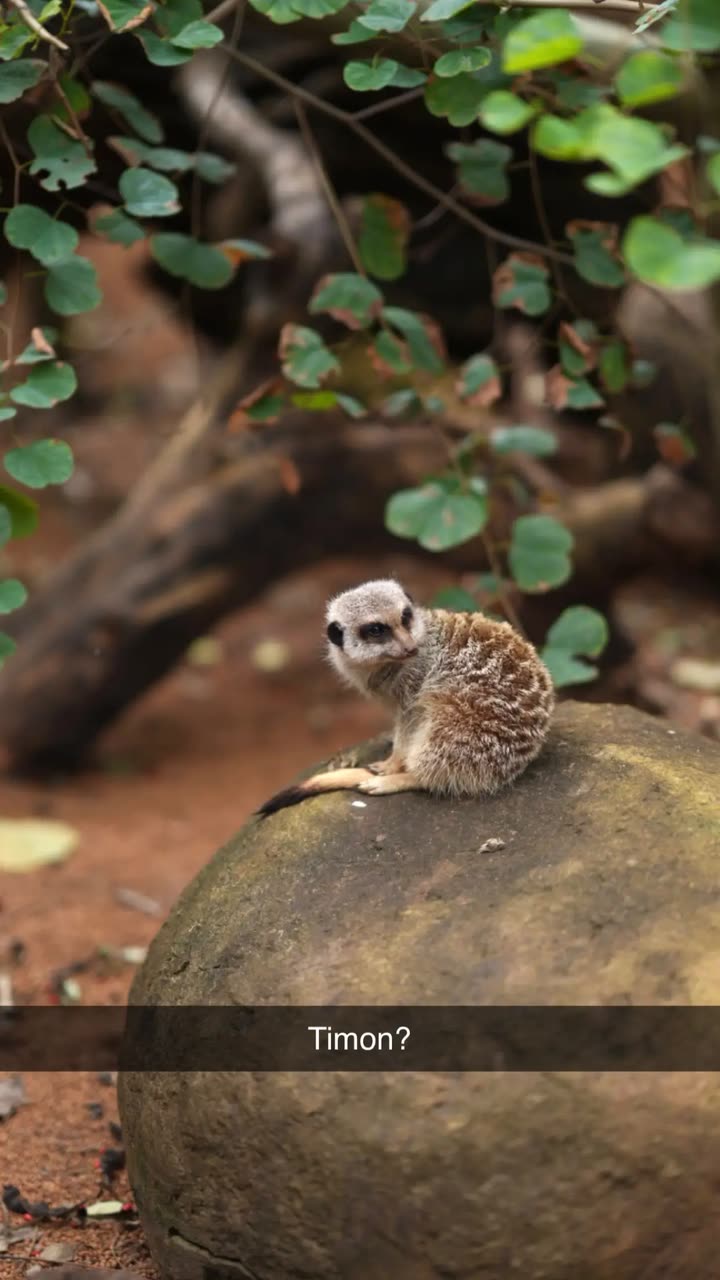 emxllouise snapchat image archive image