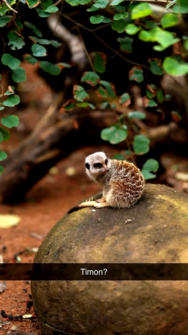 emxllouise image ~ Altpins