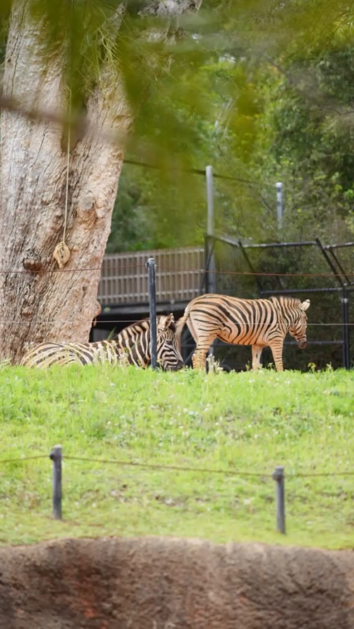 emxllouise snapchat image archive image