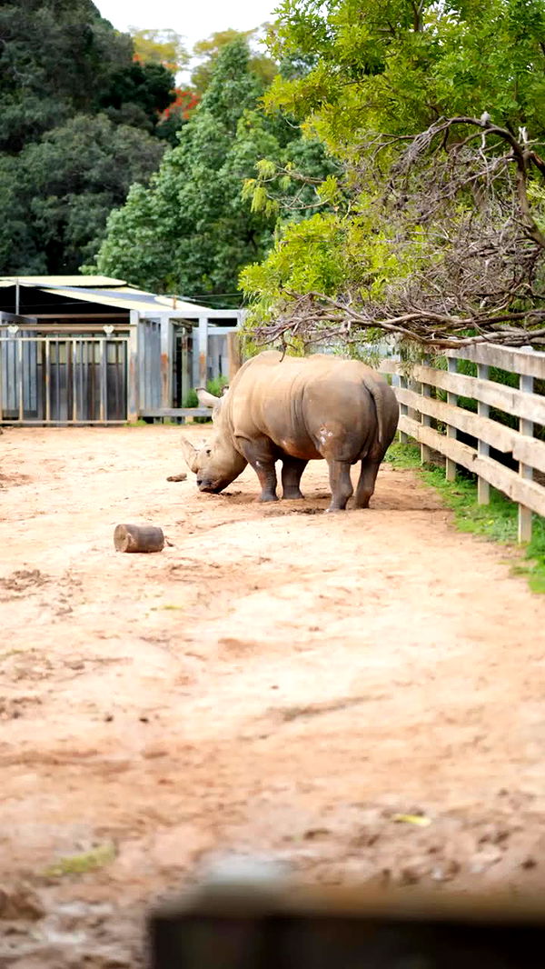 emxllouise image ~ Altpins