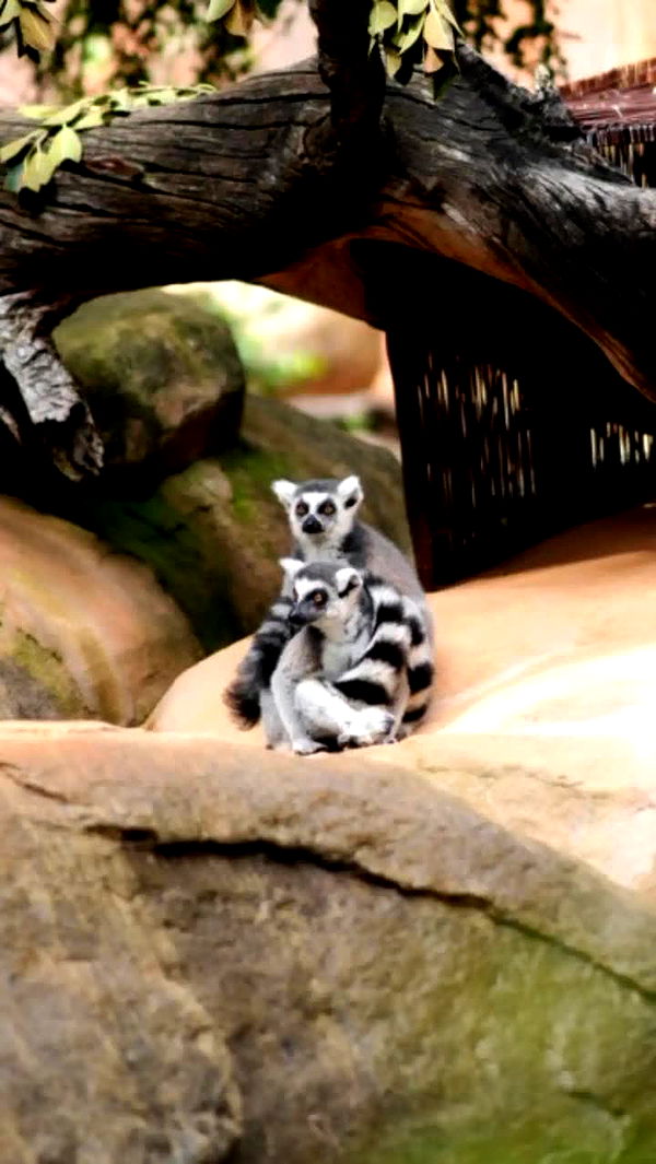 emxllouise image ~ Altpins