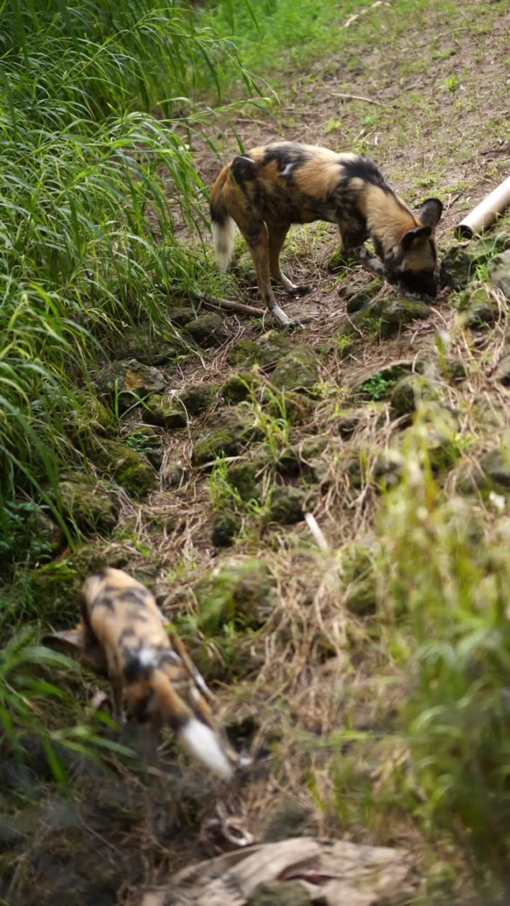 emxllouise snapchat image archive image