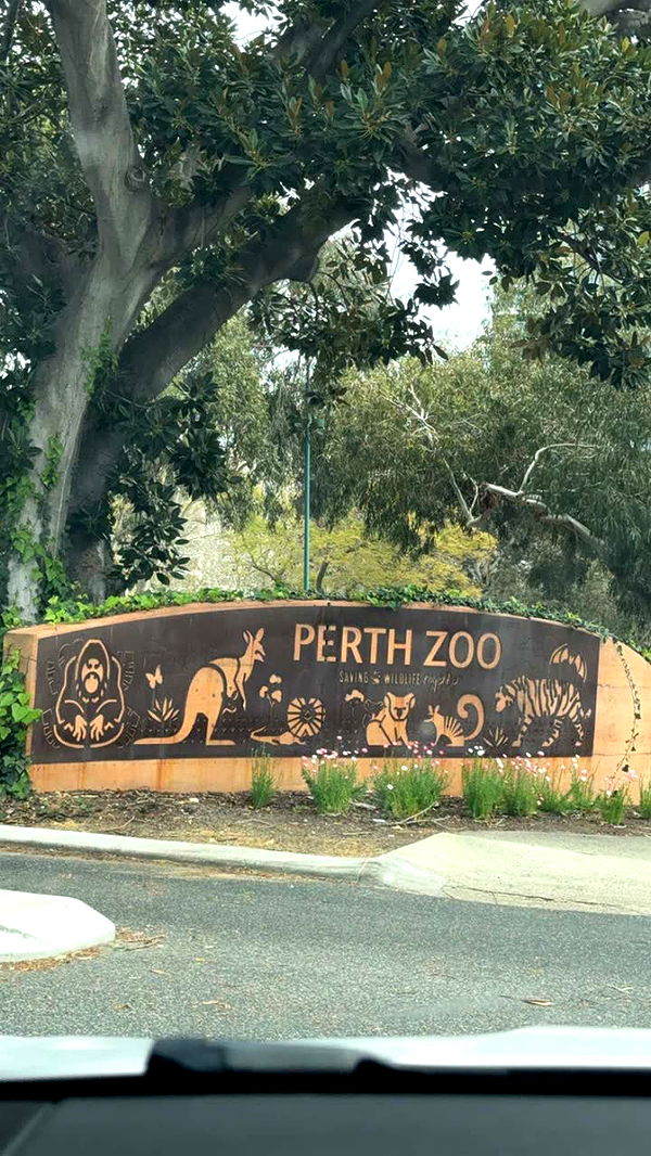 emxllouise image ~ Altpins