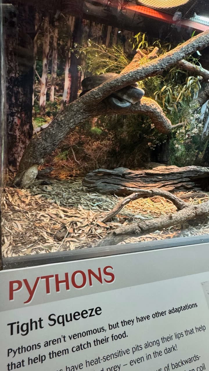 emxllouise snapchat image archive image