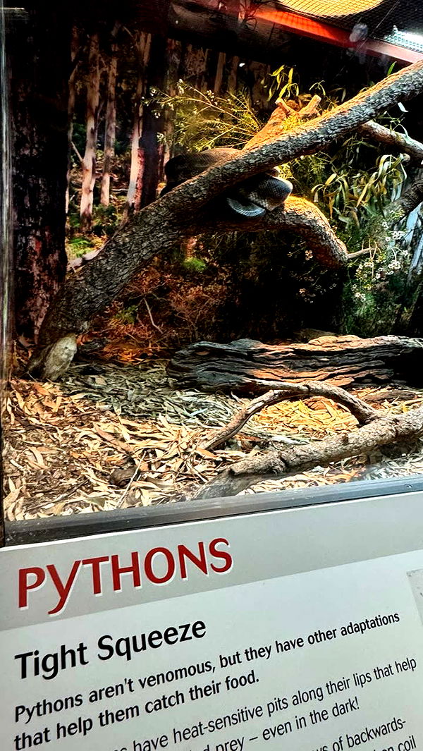 emxllouise image ~ Altpins