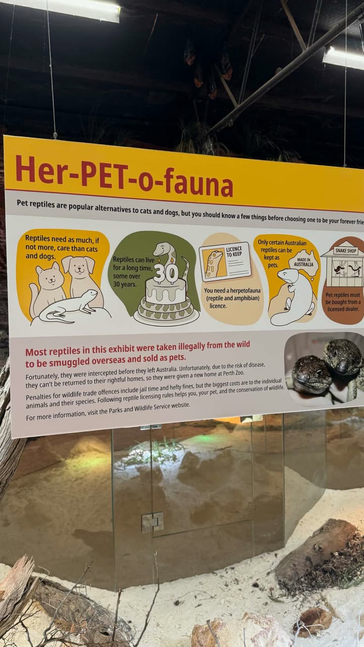 emxllouise snapchat image archive image