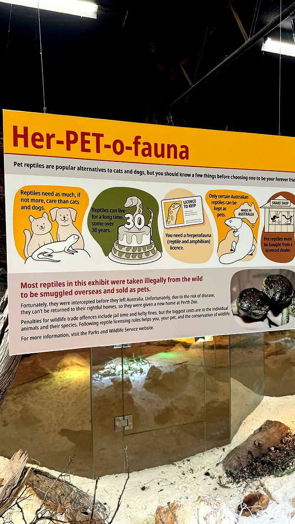 emxllouise image ~ Altpins